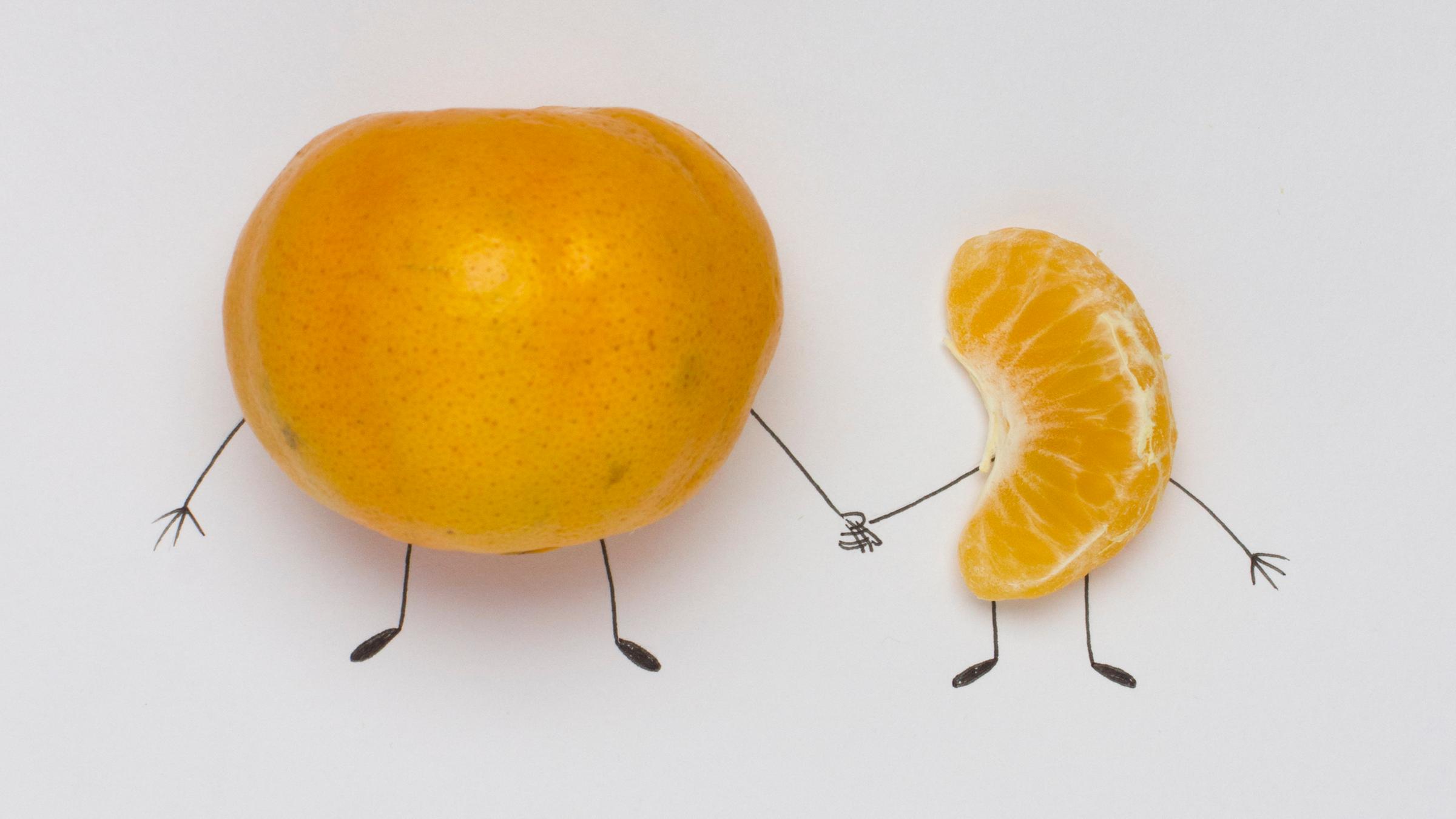 Illustration: Eine Mandarine hält ein kleines Mandarinenstückchen an de...</p>

                        <a href=