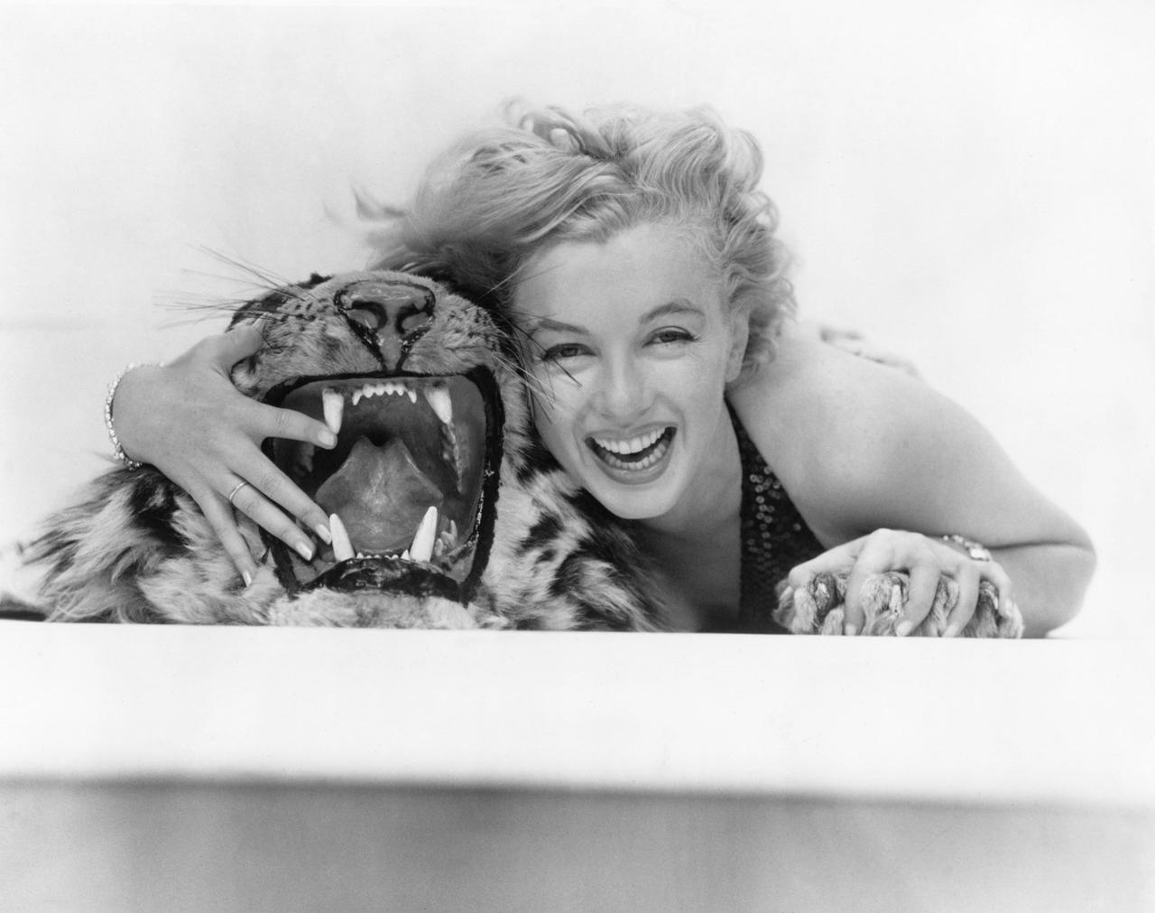 Marilyn Monroe posiert mit einem Tigerfell.