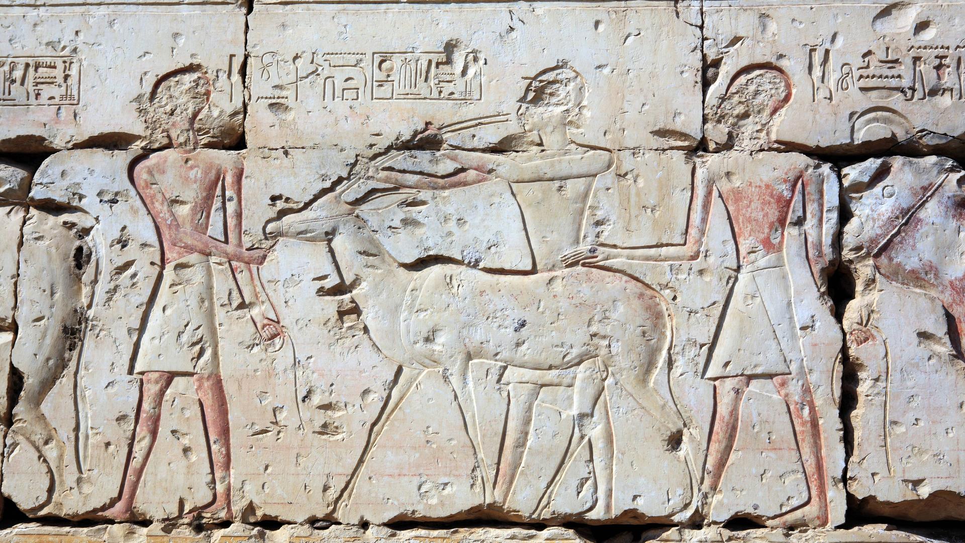 Hieroglyphen im Tempel für Ramses II in Abydos in Ägypten. Dargestellt sind Schriftzeichen und drei Männer, von denen einer eine Gazelle an den Hörnern hält.