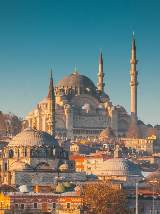 Van Dusen und Hutchinson Hatch sind in Konstantinopel, dem heutigen Istanbul, unterwegs. Zu sehen: Süleymaniye-Moschee in Istanbul