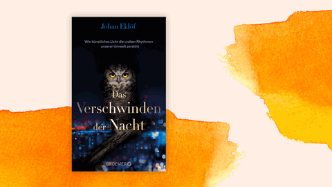 Cover von Johan Eklöfs Buch „Das Verschwinden der Nacht", auf dem eine Eule zu sehen ist.