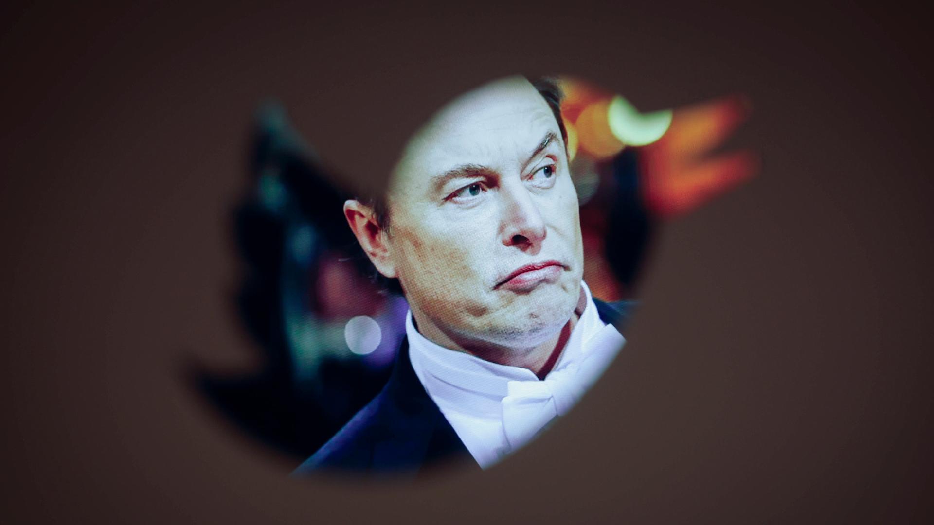 Elon Musk hinter einem Twitter-Logo Elon Musk hinter einem Twitter-Logo