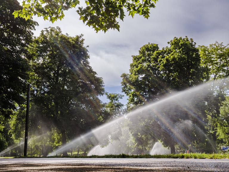 Rasensprenger bewässern einen Park in Berlin.