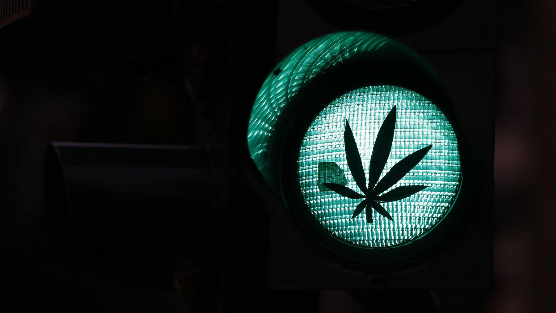 Verkehrsampel mit grünem Licht, auf das ein Aufkleber in Form einer Hanfpflanze geklebt ist.