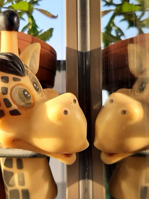 Kunststoff-Giraffenkopf spiegelt sich in Fensterscheibe. 