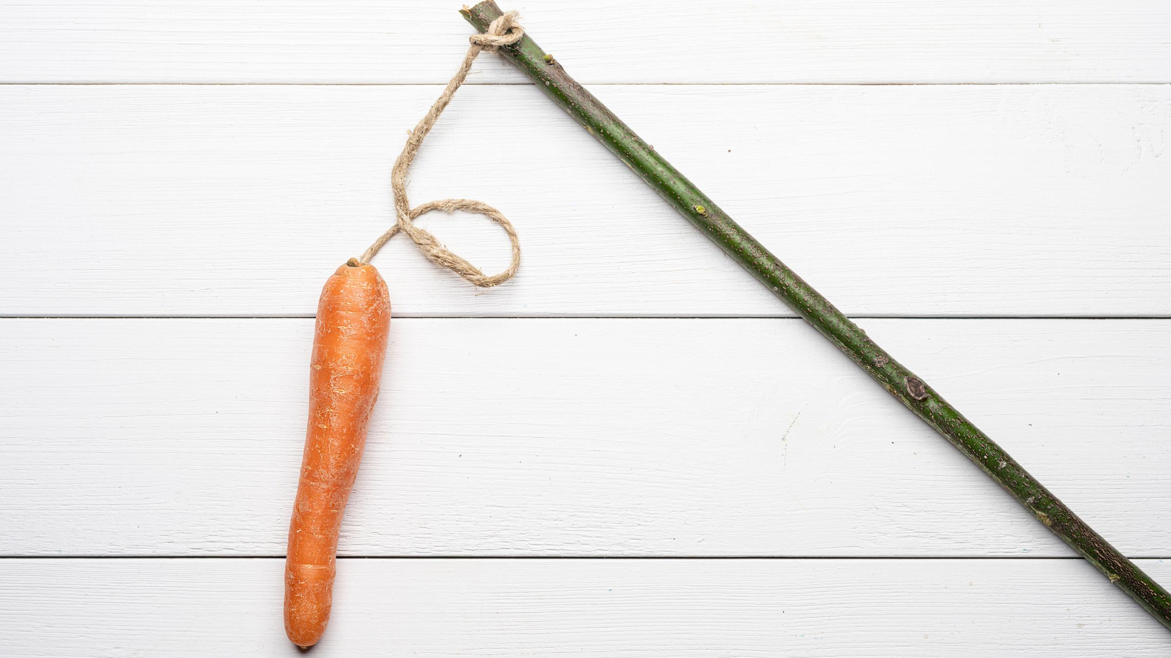 Eine Möhre hängt an einer selbstgebastelten Angel.