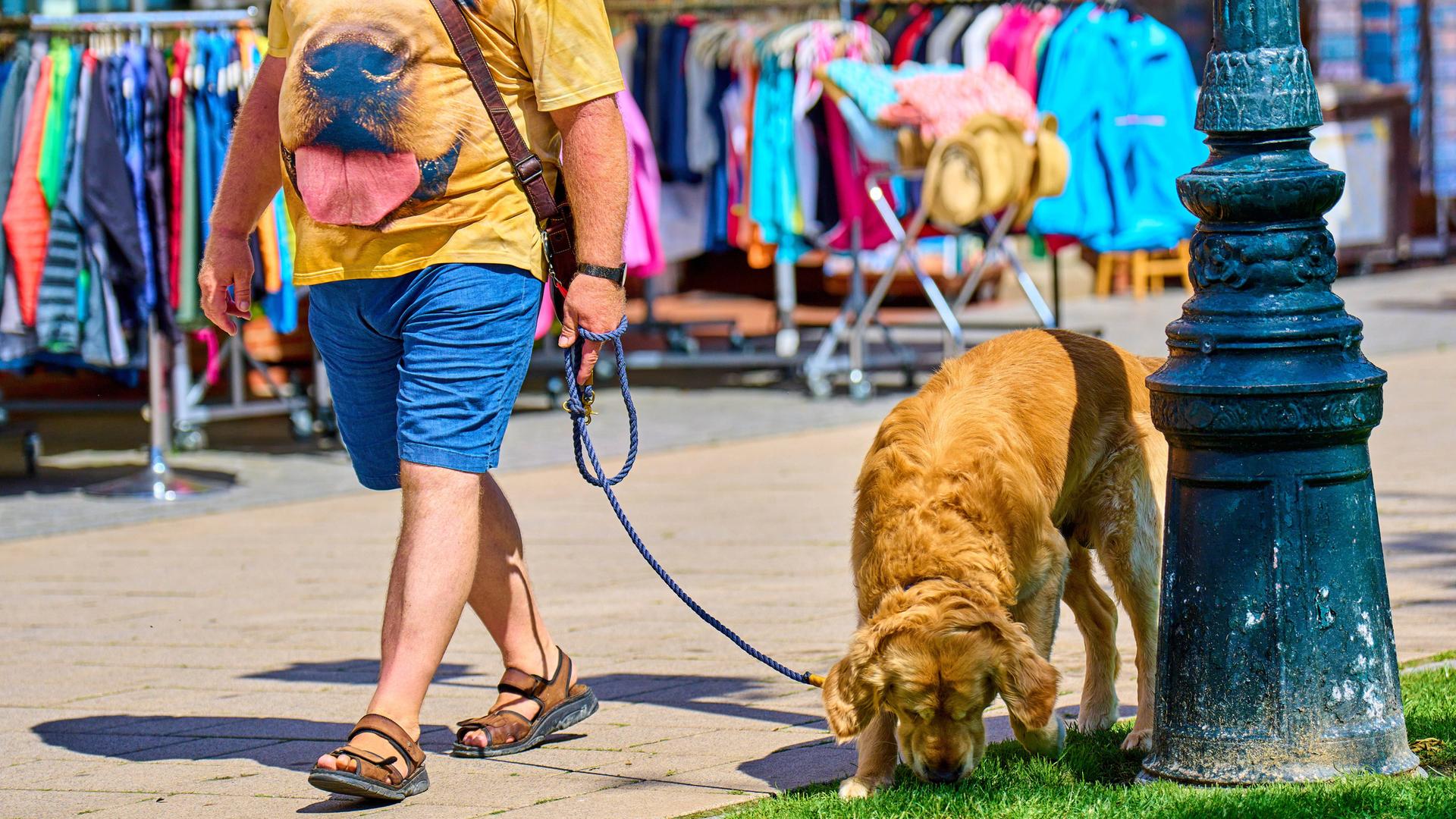 Ein Mann mit dem Bild seines Hundes auf dem T-Shirt geht mit seinem Hund spazieren. Ein Mann mit dem Bild seines Hundes auf dem T-Shirt geht mit seinem Hund spazieren.