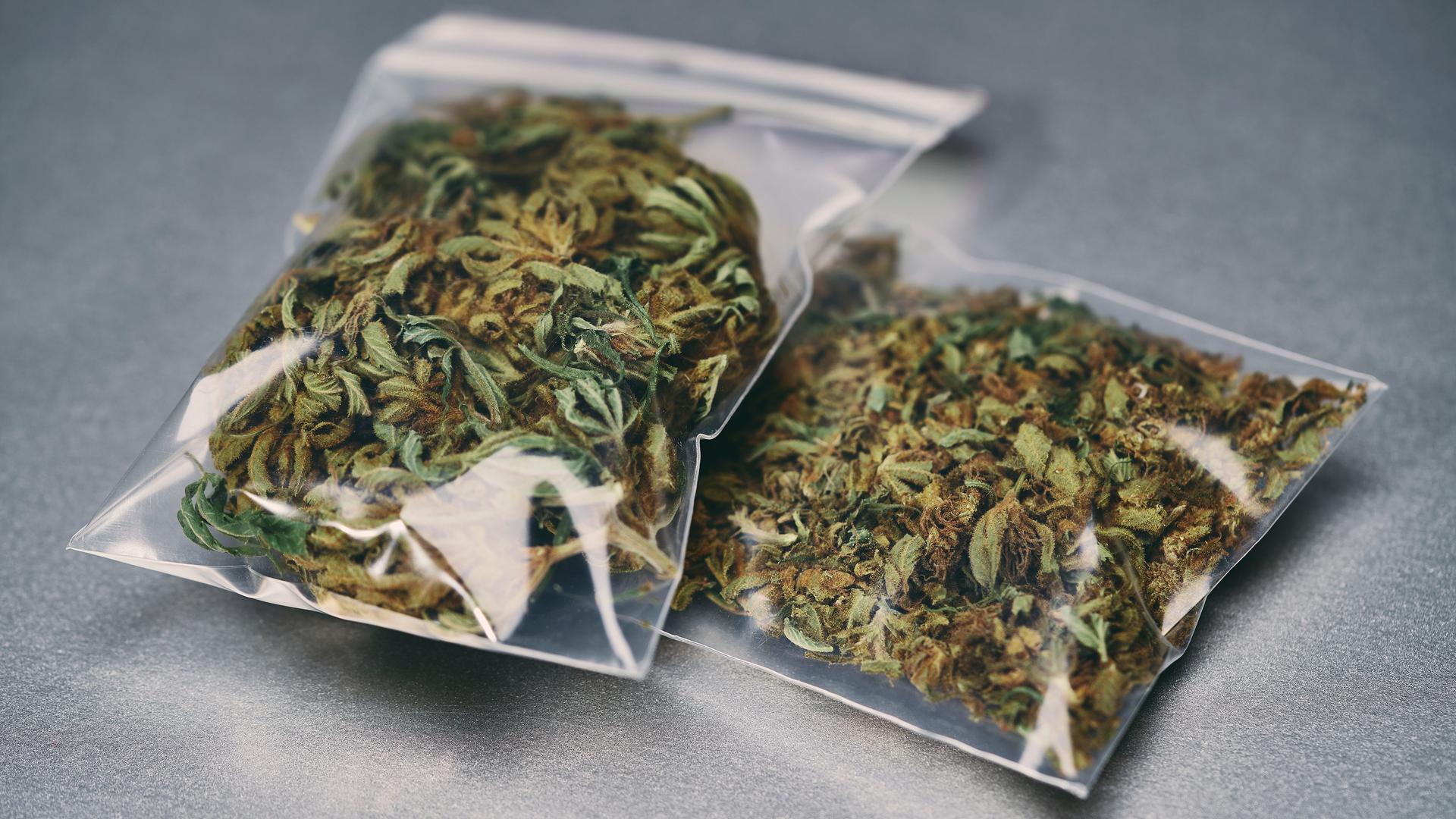 2 kleine Plastik-Tütchen liegen auf einem Tisch. In den Tütchen ist eine getrocknete Pflanze: Cannabis.