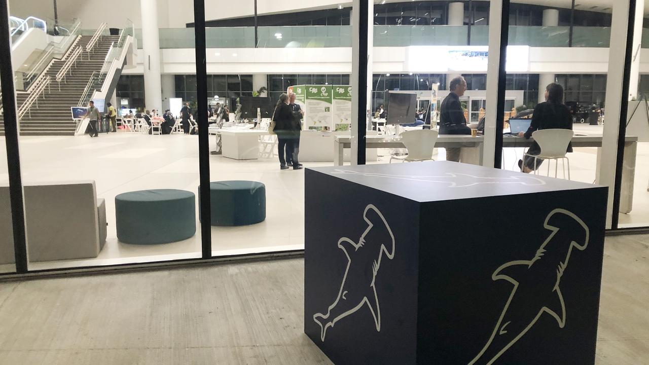 Ein Würfel mit Hammerhai-Darstellungen im Konferenzgebäude in Panama, im Hintergrund Delegierte und Besucher Ein Würfel mit Hammerhai-Darstellungen im Konferenzgebäude in Panama, im Hintergrund Delegierte und Besucher