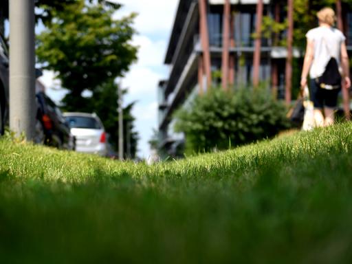 Die sogenannte "Schwammstadt" soll die Kanalisation mit grünen Dächern die Regenwasser aufsaugen, bepflanzten Fassaden und unversiegelten Flächen entlasten. Sogenannte Rigolen am Straßenrand sorgen für Reinigung und Ablauf von Regenwasser. Die sogenannte "Schwammstadt" soll die Kanalisation mit grünen Dächern die Regenwasser aufsaugen, bepflanzten Fassaden und unversiegelten Flächen entlasten. Sogenannte Rigolen am Straßenrand sorgen für Reinigung und Ablauf von Regenwasser.