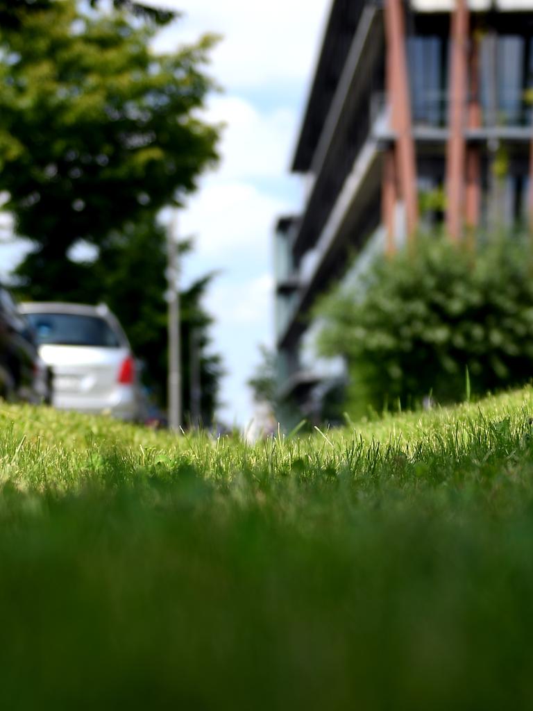 Die sogenannte "Schwammstadt" soll die Kanalisation mit grünen Dächern die Regenwasser aufsaugen, bepflanzten Fassaden und unversiegelten Flächen entlasten. Sogenannte Rigolen am Straßenrand sorgen für Reinigung und Ablauf von Regenwasser. Die sogenannte "Schwammstadt" soll die Kanalisation mit grünen Dächern die Regenwasser aufsaugen, bepflanzten Fassaden und unversiegelten Flächen entlasten. Sogenannte Rigolen am Straßenrand sorgen für Reinigung und Ablauf von Regenwasser.