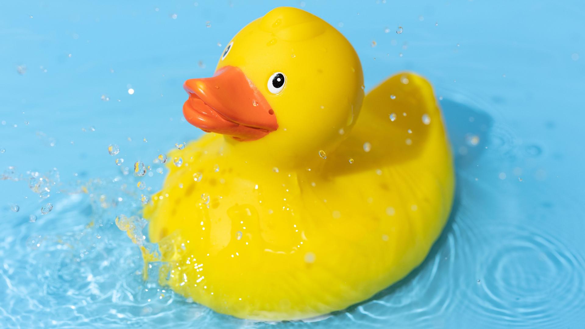 Eine gelbe Gummiente schwimmt in einem blauen Wasserbecken Eine gelbe Gummiente schwimmt in einem blauen Wasserbecken