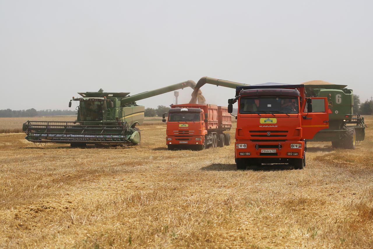 Landwirte ernten mit ihren Mähdreschern Weizen auf einem Weizenfeld in der Nähe des Dorfes Tbilisskaya in Russland. Landwirte ernten mit ihren Mähdreschern Weizen auf einem Weizenfeld in der Nähe des Dorfes Tbilisskaya in Russland.