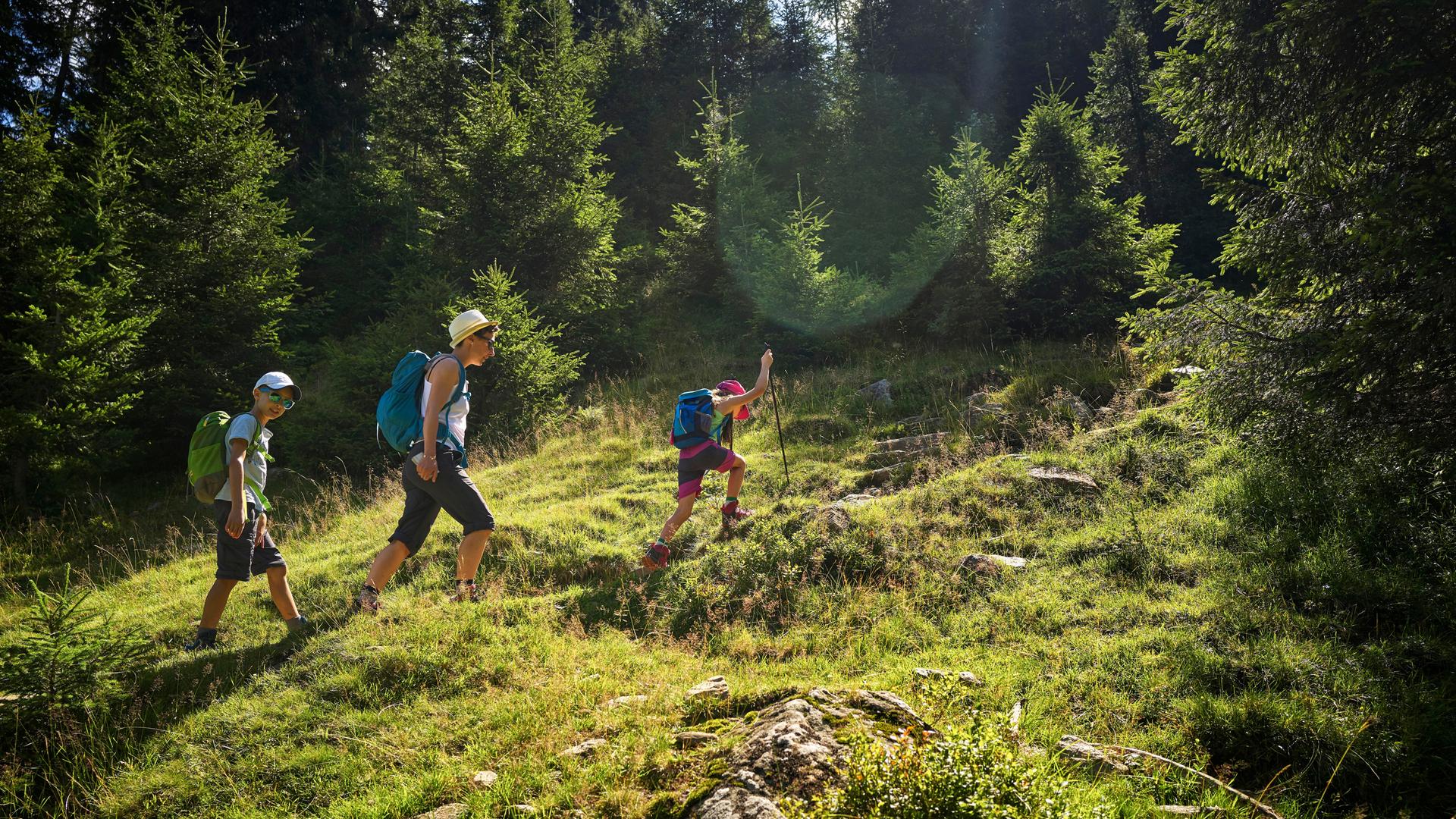 Eine Frau und zwei Kinder wandern in einer bewaldeten Umgebung. Es scheint die Sonne. (Symbolbild) Eine Frau und zwei Kinder wandern in einer bewaldeten Umgebung. Es scheint die Sonne. (Symbolbild)