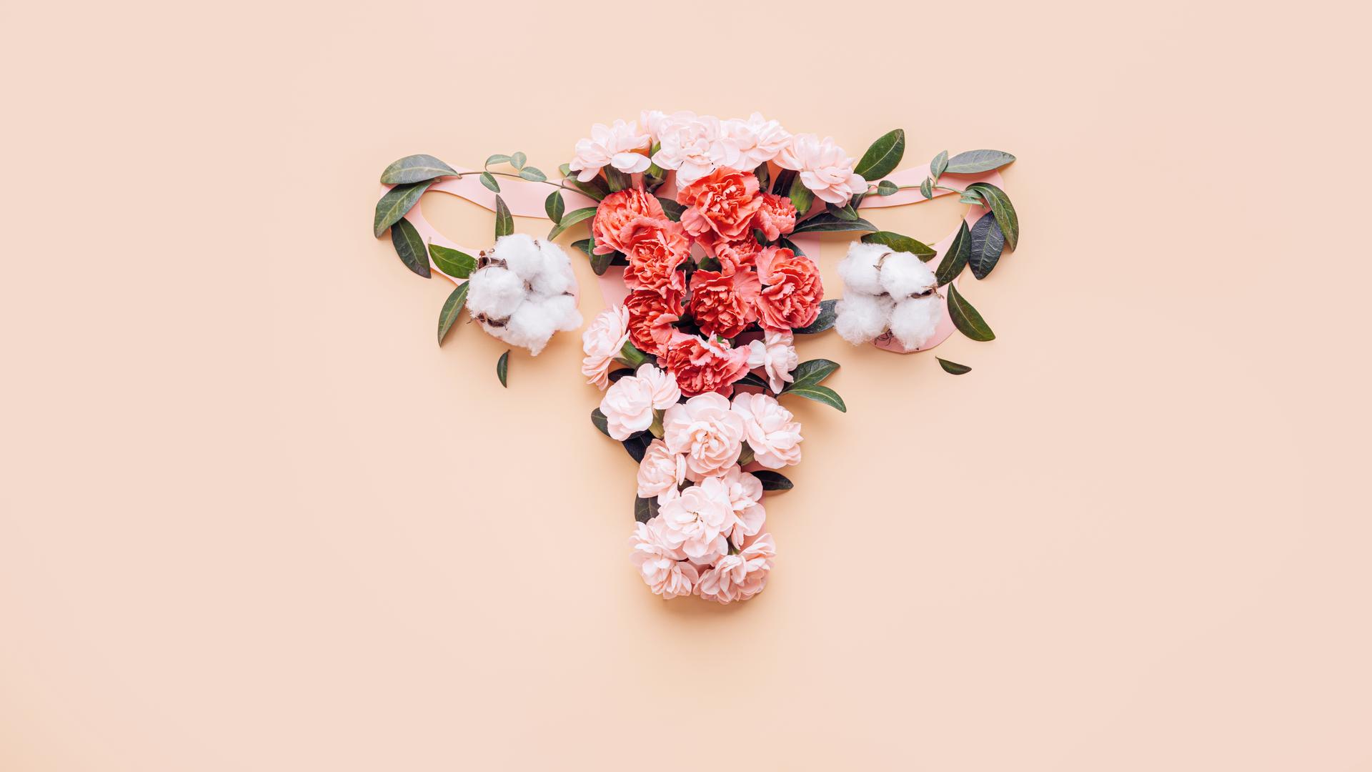 Blüten in verschiedenen Rosatönen bilden die Form eines weiblichen Uterus. Blüten in verschiedenen Rosatönen bilden die Form eines weiblichen Uterus.