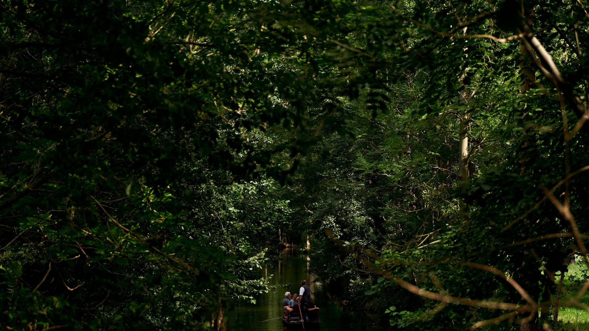 Der Ausflug in den Spreewald hält für den Kommissar große Überraschungen bereit. Zu sehen: Kahnfahrt auf der Hauptspree Im Biosphärenreservat Spreewald in Burg. Der Ausflug in den Spreewald hält für den Kommissar große Überraschungen bereit. Zu sehen: Kahnfahrt auf der Hauptspree Im Biosphärenreservat Spreewald in Burg.