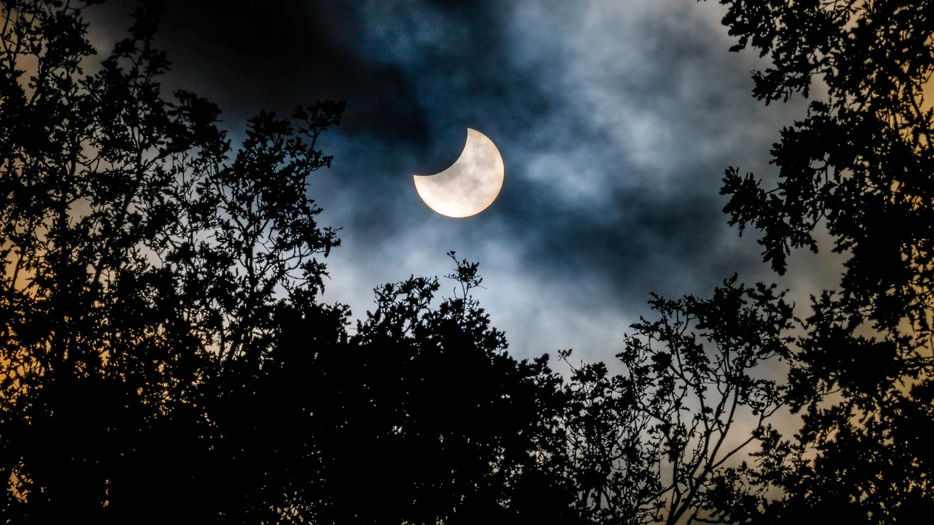 Der Mond schiebt sich bei einer partiellen Sonnenfinsternis vor die Sonne. Rechts und links zeichnen sich die Silhouetten von Bäumen ab. Die partielle Finsternis ist am 25. Oktober 2022 in Teilen Europas, Afrikas und Asiens zu sehen gewesen.