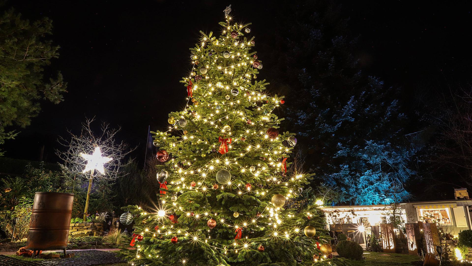 Das Foto zeigt einen großen geschmückten Weihnachtsbaum im Freien auf einem Platz. Der Nadelbaum ist durch Lichterketten und Weihnachtsschmuck erleuchtet.