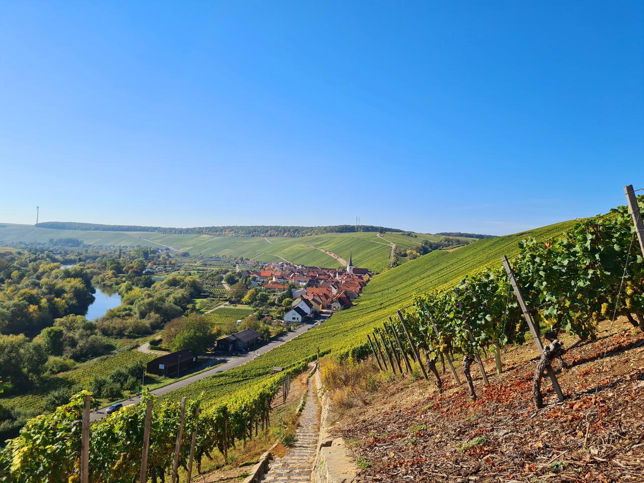 Weinberge im Herbst in Franken am Main, rund um Nordhofen Weinberge im Herbst in Franken am Main, rund um Nordhofen