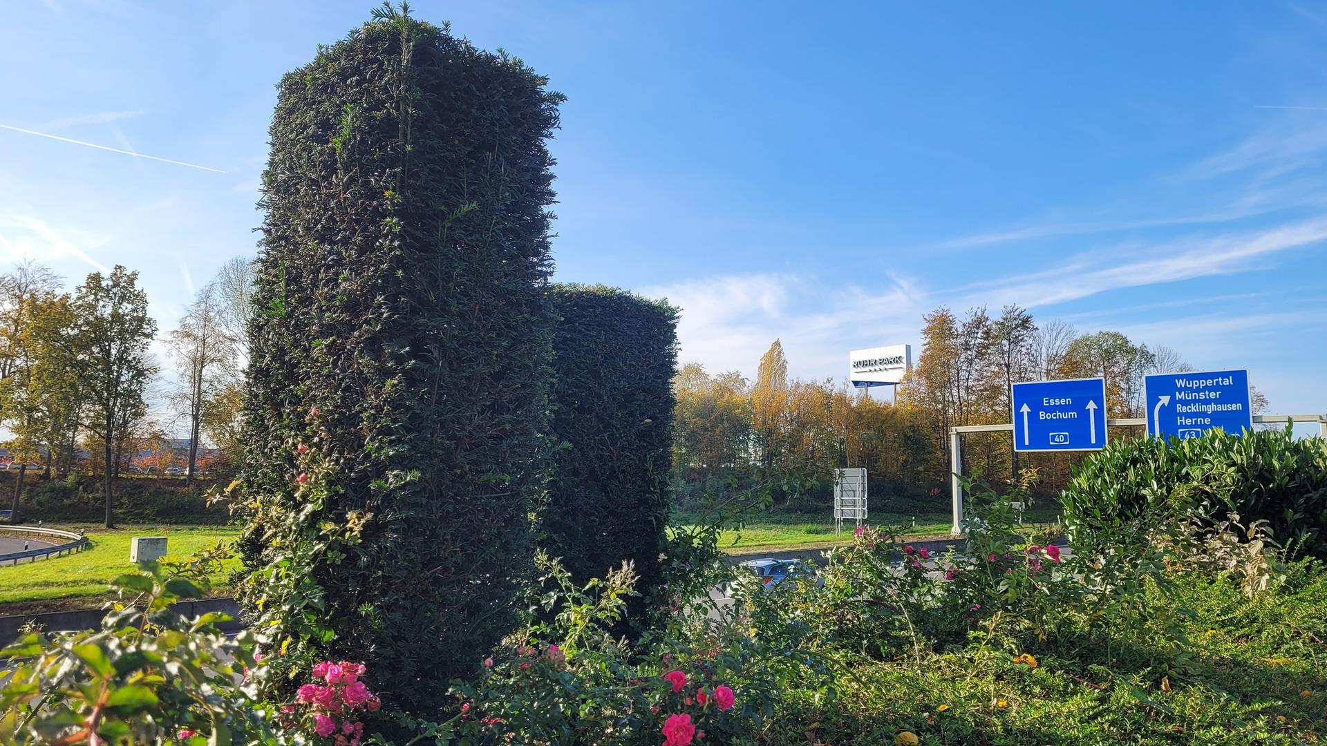 Direkt an einer Autobahnausfahrt befindet sich Hecken und Blumensträucher. Direkt an einer Autobahnausfahrt befindet sich Hecken und Blumensträucher.