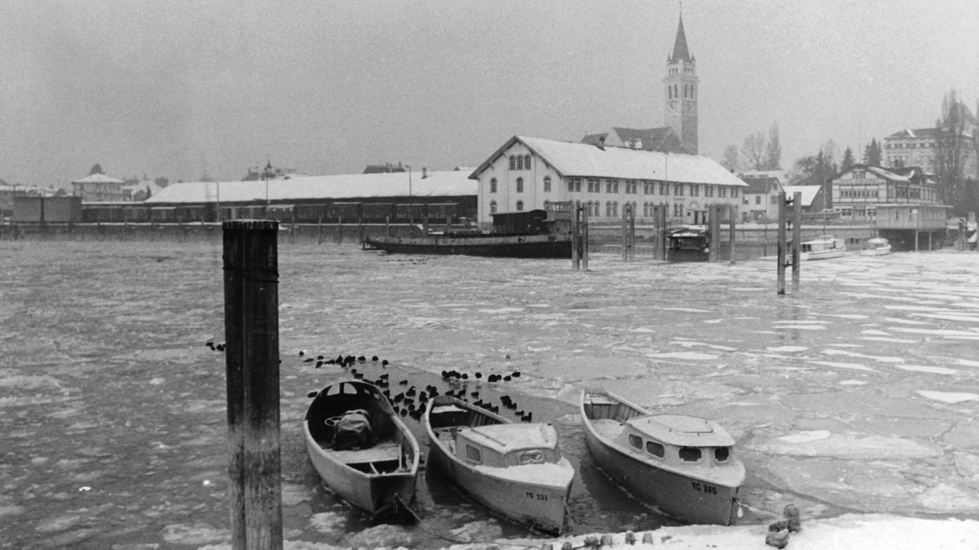 Deutscher Wetterdienst - Vor 60 Jahren fror der Bodensee zum bisher letzten Mal vollständig zu