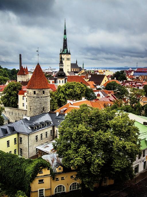 Panoramablick über Tallinn: Zu sehen sind vor gewitterartig bewölktem Himmel Kirchenspitzen und mittelalterlich anmutende Gebäude