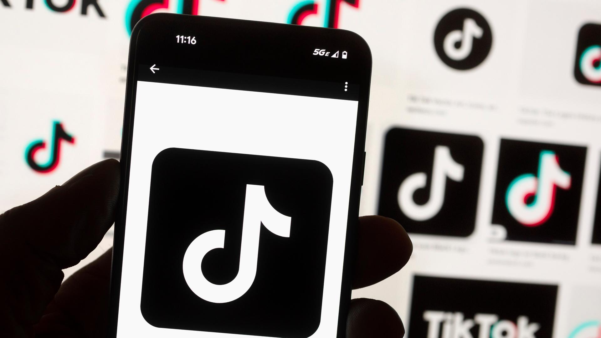Das TikTok-Logo ist auf einem Smartphone zu sehen. Das TikTok-Logo ist auf einem Smartphone zu sehen.