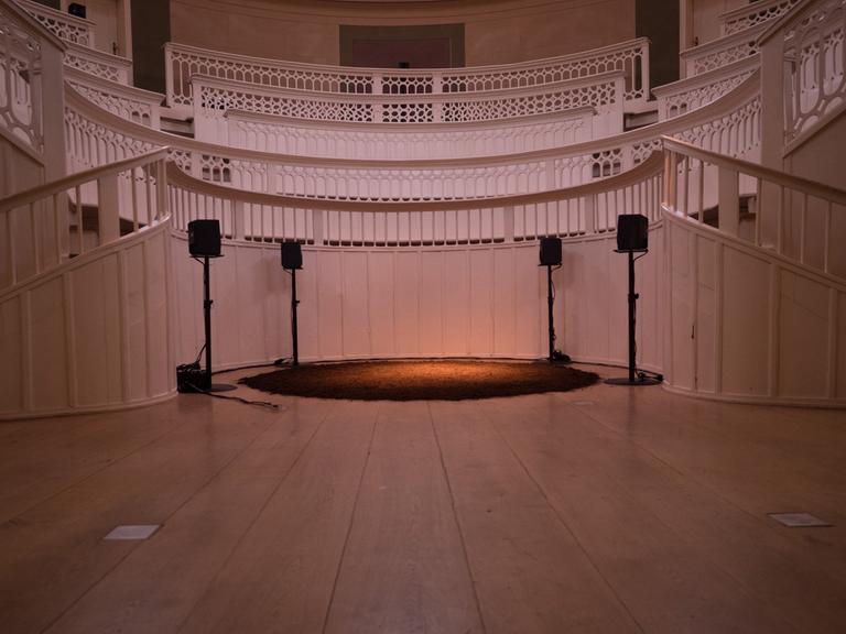 Installation von „Fronte Violeta"