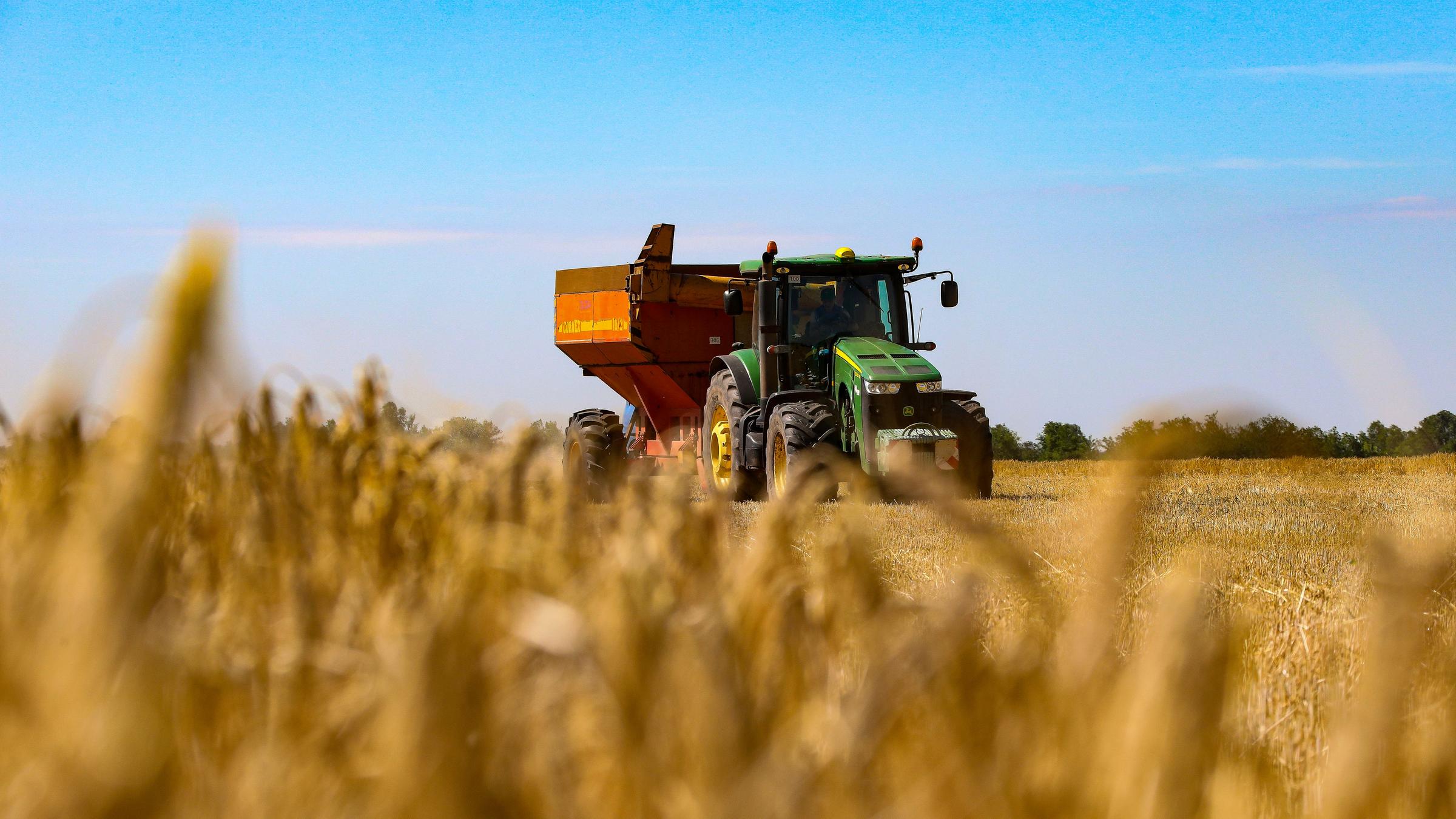 Ein Mähdrescher erntet Getreide auf einem Feld in der Region Odessa im Süden der Ukraine. Ein Mähdrescher erntet Getreide auf einem Feld in der Region Odessa im Süden der Ukraine.