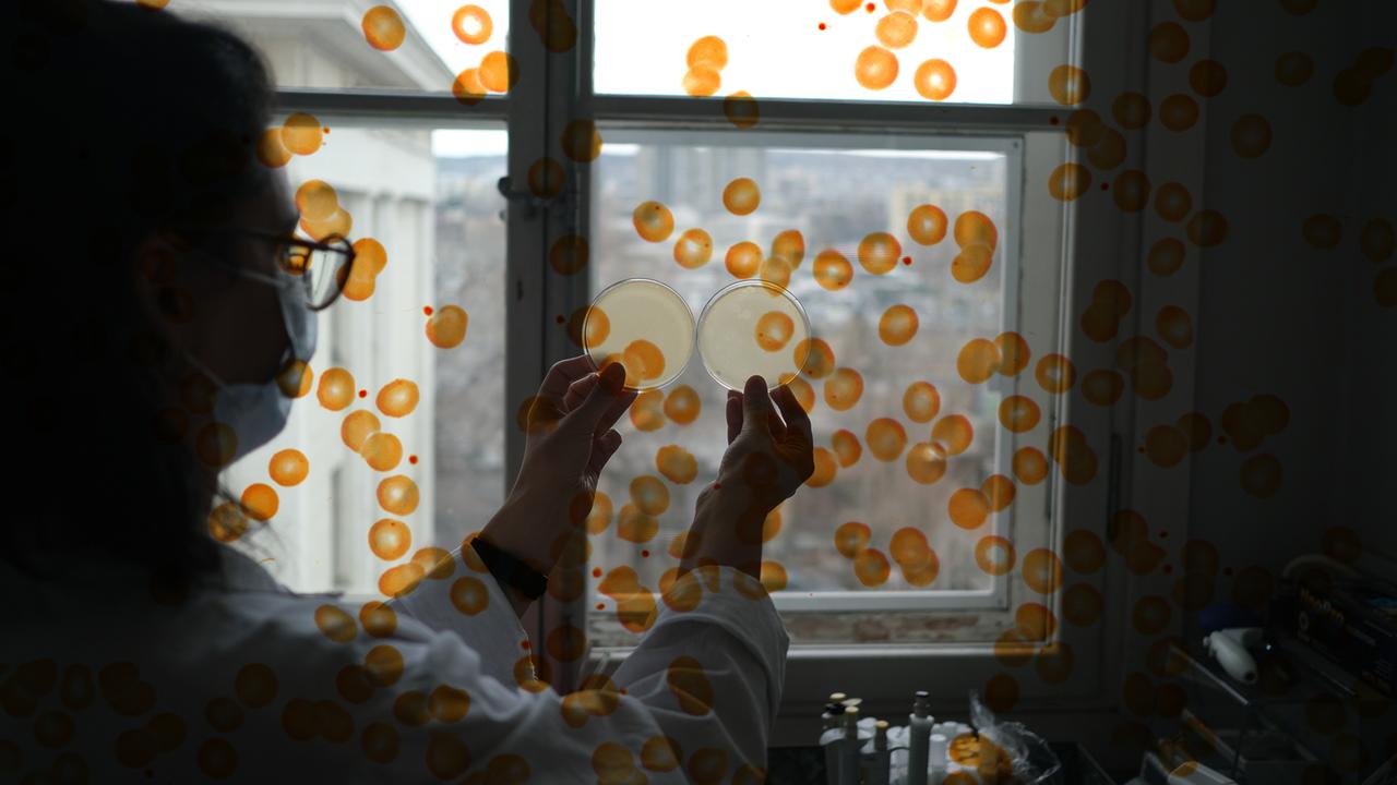 Eine Person in Schutzkleidung steht vor einem Fenster und hält verschlossene Petrischalen gegen das Licht. Die Fotografie wird überlagert von einer Grafik aus orangenen Punkten