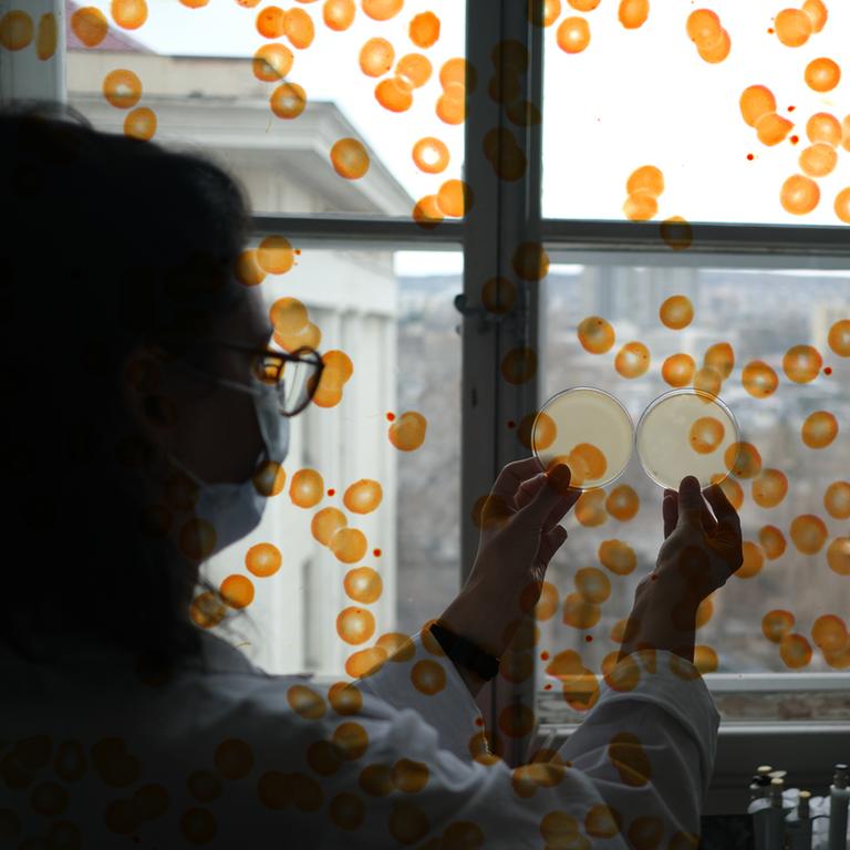 Eine Person in Schutzkleidung steht vor einem Fenster und hält verschlossene Petrischalen gegen das Licht. Die Fotografie wird überlagert von einer Grafik aus orangenen Punkten Eine Person in Schutzkleidung steht vor einem Fenster und hält verschlossene Petrischalen gegen das Licht. Die Fotografie wird überlagert von einer Grafik aus orangenen Punkten