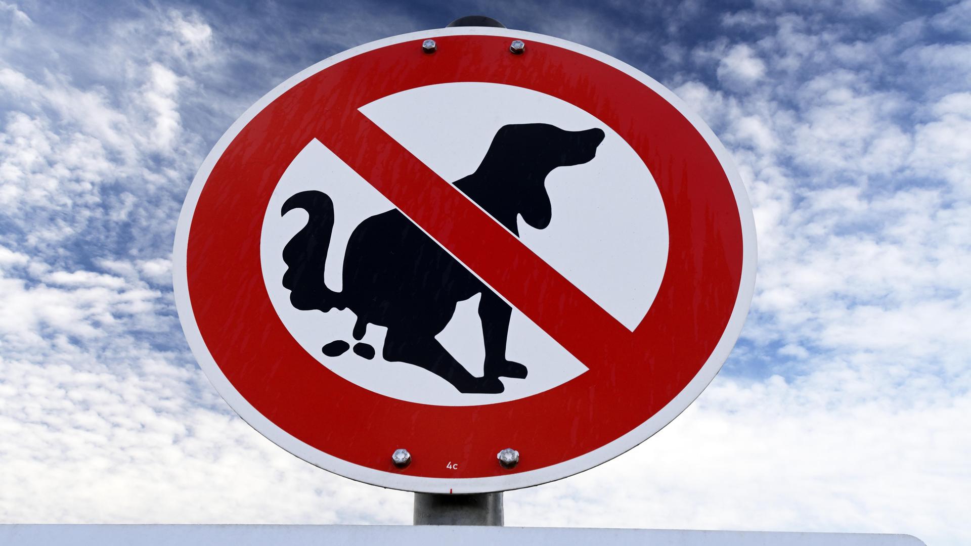 Ein Verbotsschild weist daraufhin, dass Hunde an dieser Stelle ihr Geschäft nicht verrichten dürfen.
Ein Verbotsschild weist daraufhin, dass Hunde an dieser Stelle ihr Geschäft nicht verrichten dürfen.