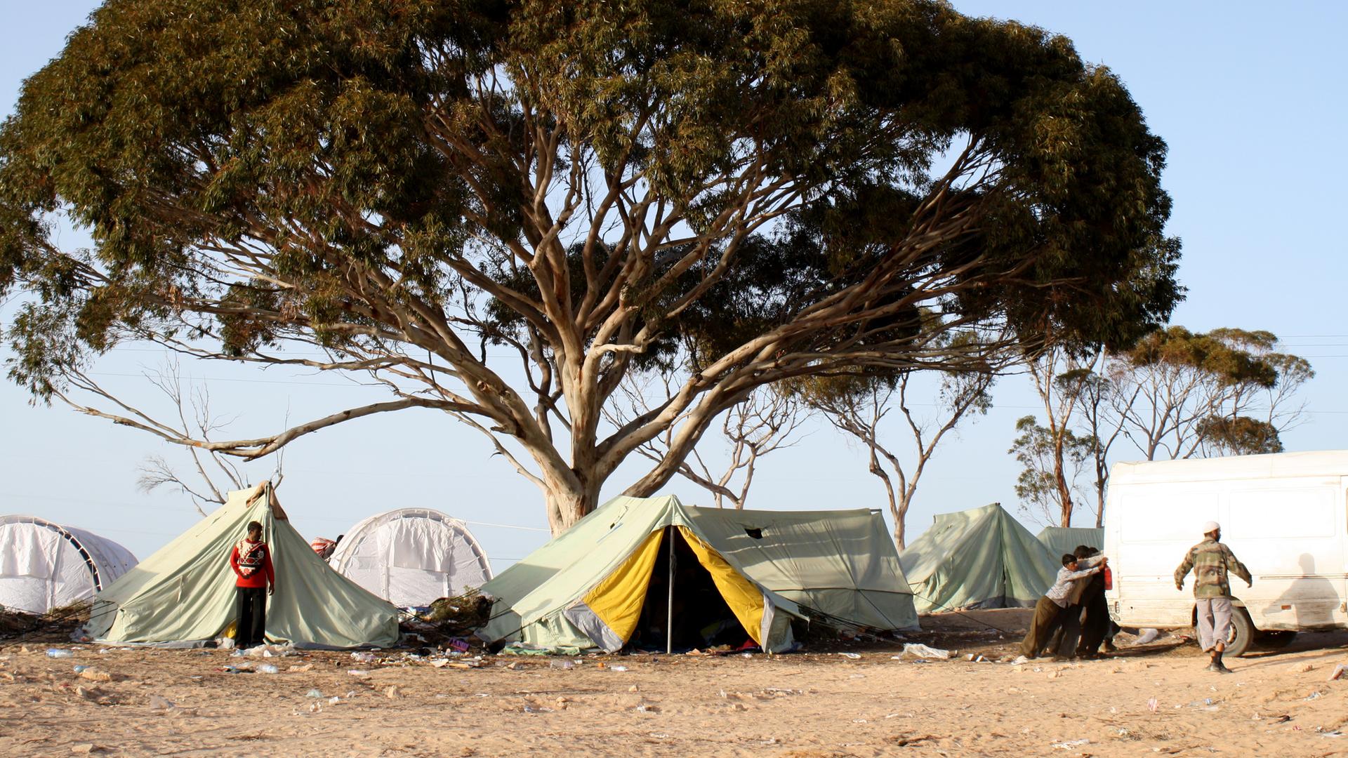 Westafrikanische Flüchtlinge hausen in Zelten unter einem Baum Westafrikanische Flüchtlinge hausen in Zelten unter einem Baum