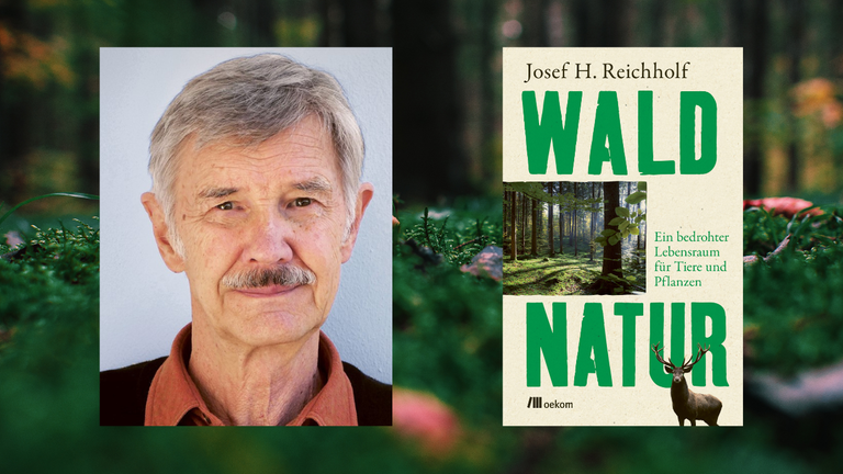 Ein Portrait des Autors Josef H. Reichholf und das Cover von "Waldnatur. Ein bedrohter Lebensraum für Tiere und Pflanzen" vor Moosboden