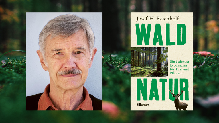 Ein Portrait des Autors Josef H. Reichholf und das Cover von "Waldnatur. Ein bedrohter Lebensraum für Tiere und Pflanzen" vor Moosboden Ein Portrait des Autors Josef H. Reichholf und das Cover von "Waldnatur. Ein bedrohter Lebensraum für Tiere und Pflanzen" vor Moosboden