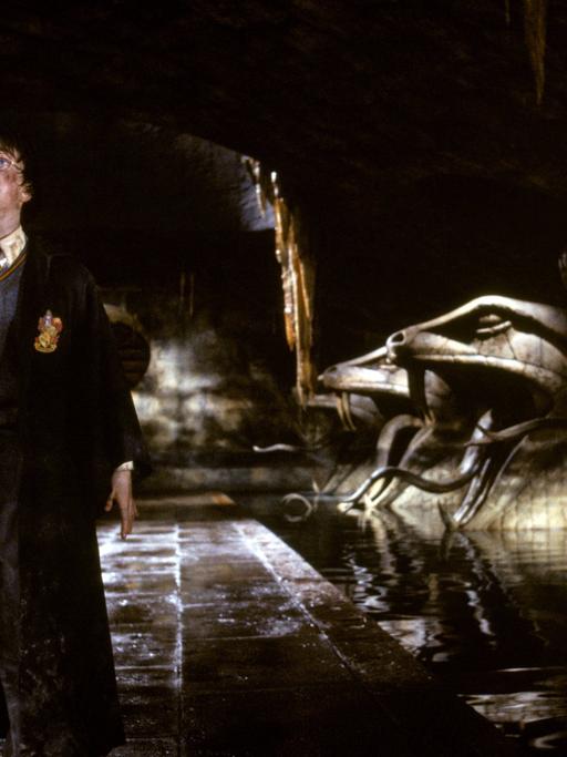 Harry Potter (Daniel Radcliffe) geht im neuen Kinofilm "Harry Potter und die Kammer des Schreckens" einen dunklen Weg entlang, an dessen Seiten aus Stein gemeiÃelte Schlangenköpfe stehen (Szenenfoto). Für den Zauberlehrling Harry beginnt das zweite Ausbildungsjahr an der Hogwarts-Schule für Hexerei und Zauberei. Dort sind seine Heldentaten aus dem ersten Jahr inzwischen Tagesgespräch. Als ein unfassbarer und unheimlicher Schrecken von Hogwarts Besitz ergreift, entschlieÃen sich Harry und seine Freunde der finsteren Macht gegenübertreten, die ihre geliebte Schule bedroht. Ein gefährliches Abenteuer nimmt seinen Lauf... Starttermin der Fortsetzung des Erfolgsfilms "Harry Potter und der Stein der Weisen" (2001) nach der Romanvorlage von J. K. Rowling ist der 14.11.2002.