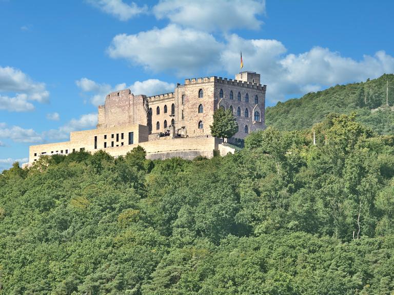 Ein Schloss, das auf einem Hügel mitten im Wald steht, ist auf dem Foto zu sehen. 