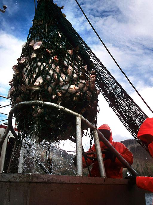 Trawaler, Fischerboot, Fischfang, Einholen des Netztes, Flateyri, Vestfirðir, Westfjorde, Nord-West-Island, Island, Euro