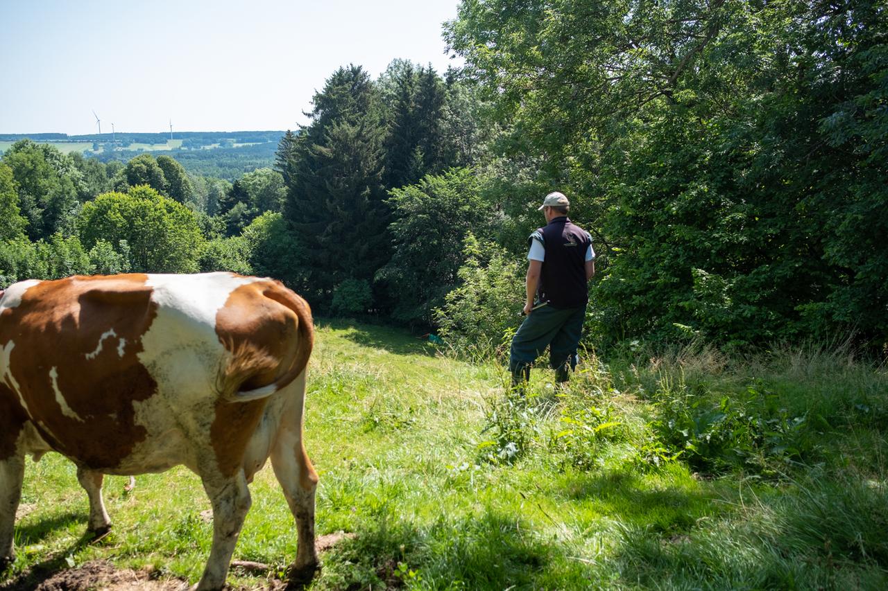 Der Rindertierarzt Mario Beck auf einer seiner täglichen Touren über Land.