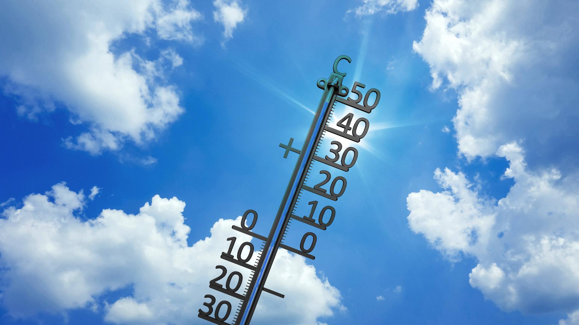 Thermometer zeigt 48 Grad , Deutschland Thermometer shows 48 Degree Celsius, Germany BLWS665735 *** Thermometer shows 48 Thermometer zeigt 48 Grad , Deutschland Thermometer shows 48 Degree Celsius, Germany BLWS665735 *** Thermometer shows 48