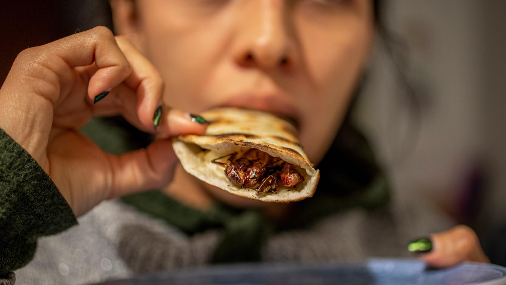 Eine Frau kostet eine Quesadilla mit Wanderheuschrecken. Eine Frau kostet eine Quesadilla mit Wanderheuschrecken.