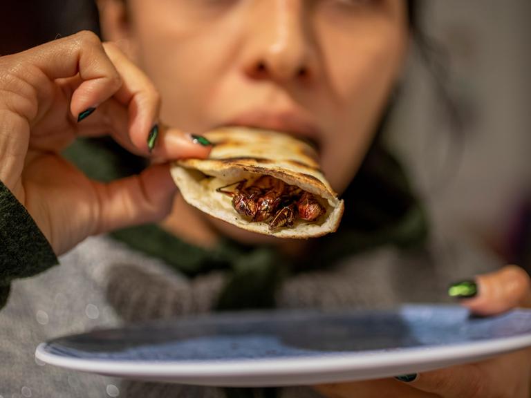 Eine Frau kostet eine Quesadilla mit Wanderheuschrecken.
