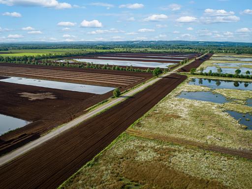 Luftaufnahme eines weiten Torffeldes mit Wasserflächen
