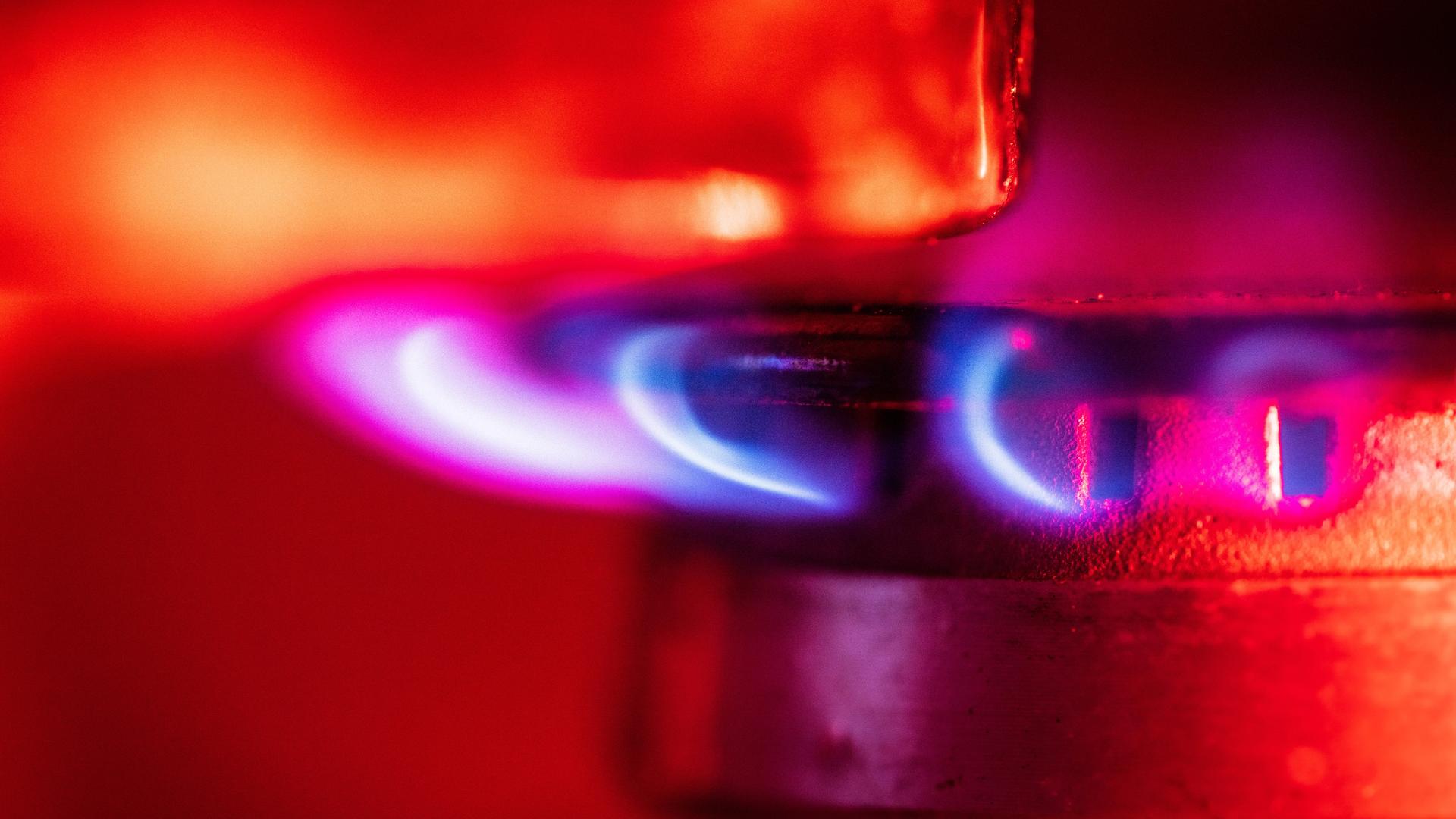 Eine Gasflamme brennt auf einem Küchenherd. Momentan diskutieren Experten und Politik, wie die geplante Gasumlage für einkommensschwächere Familien aufgefangen werden kann. Eine Gasflamme brennt auf einem Küchenherd. Momentan diskutieren Experten und Politik, wie die geplante Gasumlage für einkommensschwächere Familien aufgefangen werden kann.