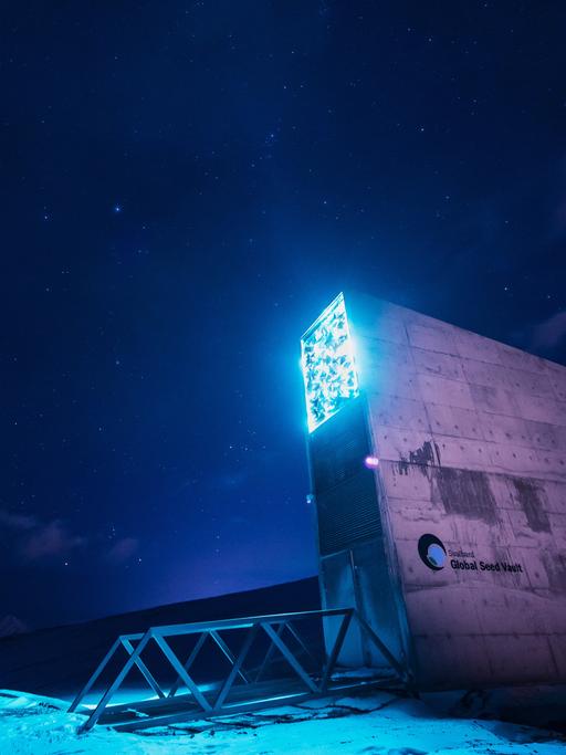 Aufragender Eingang zu einem unteridisch liegenden Gebäude mit der Aufschrift "Global Seed Vault". Seine Beleuchtung hebt es vor dem Sternenhimmel ab.