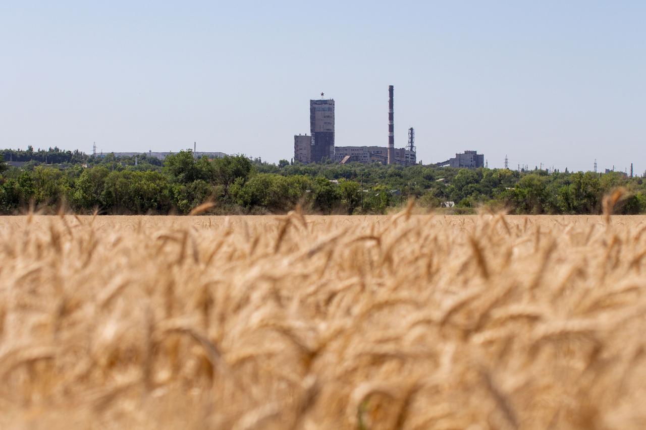 Ein Weizenfeld im Vordergrund, dahinter die Stadt Lugansk in der Ukraine. Ein Weizenfeld im Vordergrund, dahinter die Stadt Lugansk in der Ukraine.