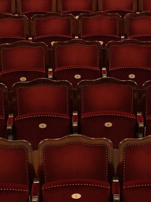 Leere Reihen rot bezogener Sitze in einem Theater