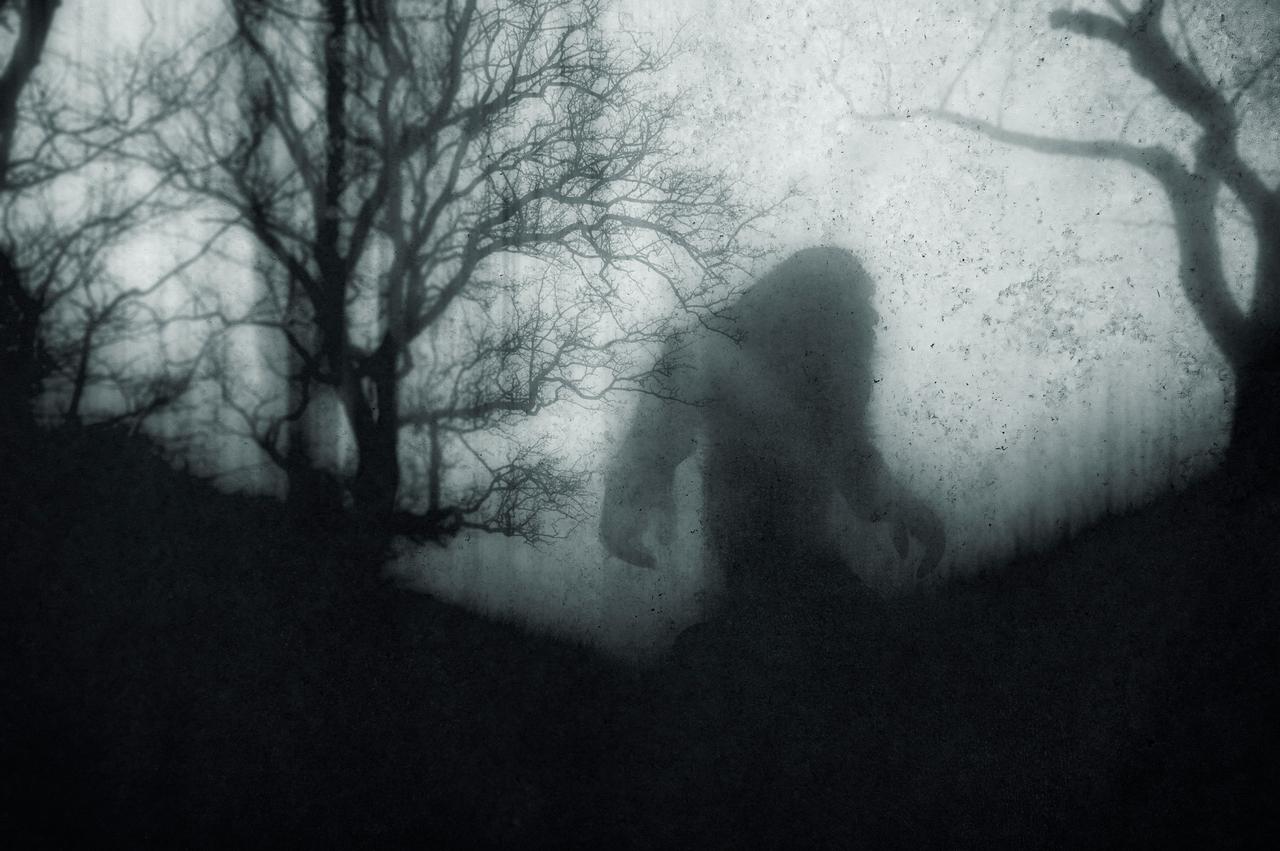 Darstellung einer mysteriösen Bigfoot-Figur, deren Silhouetten im Wald vor Bäumen zu sehen ist. Die Stimmung ist düster. Darstellung einer mysteriösen Bigfoot-Figur, deren Silhouetten im Wald vor Bäumen zu sehen ist. Die Stimmung ist düster.