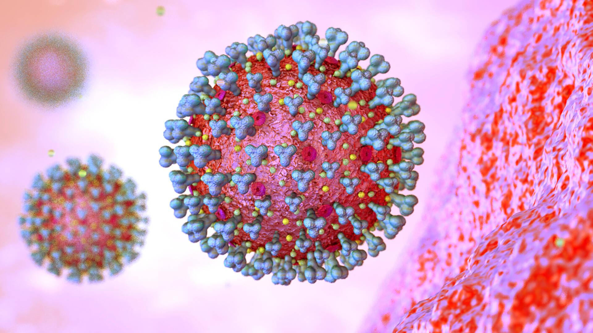 Eine grafische Darstellung des Corona-Virus, zu sehen ist ein roter Ball mit blauen Stacheln.