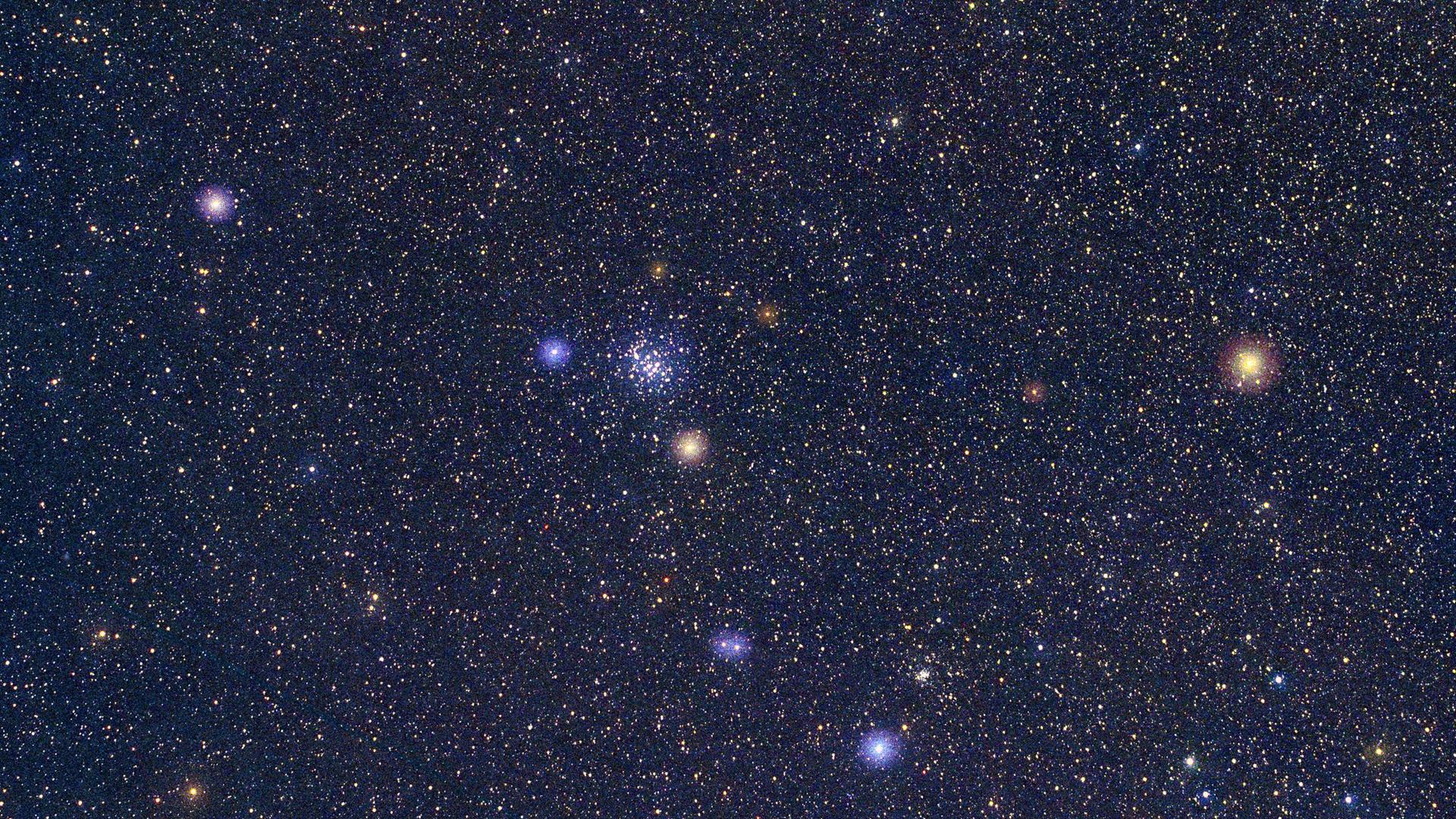 Undatierte Aufnahme eines Krebs-Sternbildes - das liegendes lang gedehntes Ypsilon bildet - und den Frühling ankündigt.